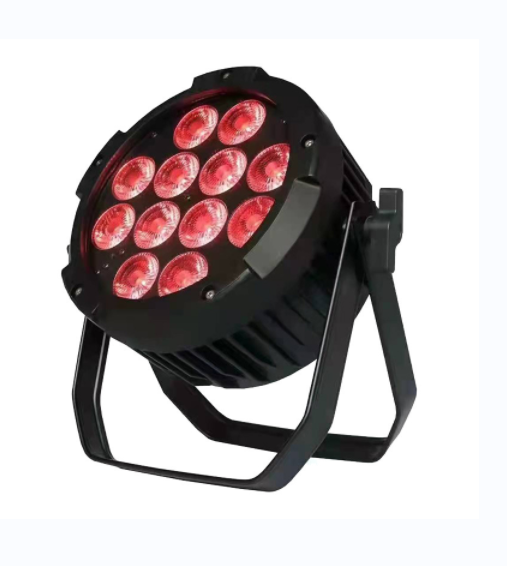 China Factory 12pcs10W 4in1 RGBW Waterproof Par Light FD-LPW1210