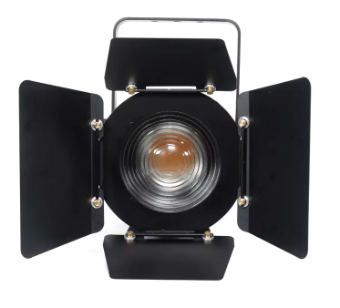 Manual Zoom RGBW 300W LED Fresnel Spotlight for Meeting Show FD-F19