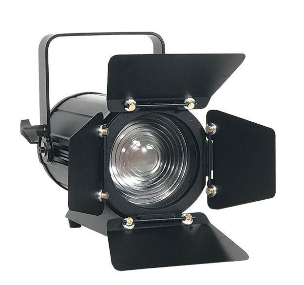Zoom 100W Soft Led Frensel Spotlight for Studio Room FD-F23