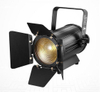 Zoom 100W Soft Led Frensel Spotlight for Studio Room FD-F23