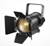 Factory Wholesale 100W RGBW Led Frensel Spotlight for Photography FD-F23